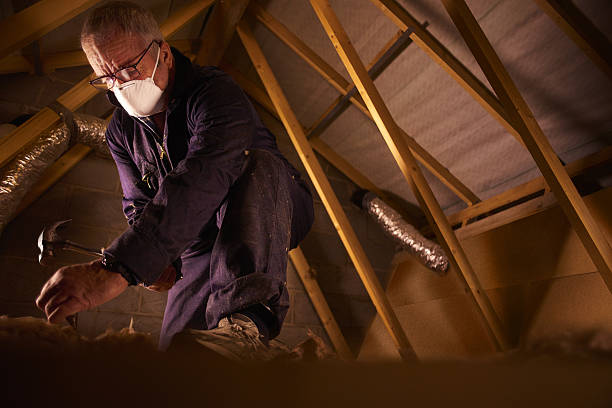 Best Energy Efficiency Insulation in Manche North Shore, CA