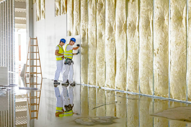 Types of Insulation We Offer in Camanche North Shore, CA